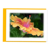 Feeling Groovy Assorted Note Card Box Set