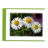 Feeling Groovy Assorted Note Card Box Set