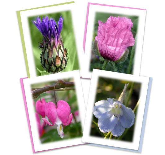 Morning Has Broken Assorted Note Card Box Set