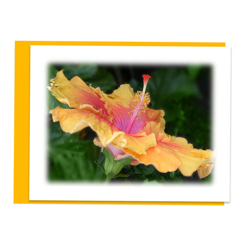 Yellow Hibiscus Greeting Card, Stationery Note Card