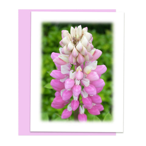 Lupine Bloom Greeting Card, Stationery Note Card