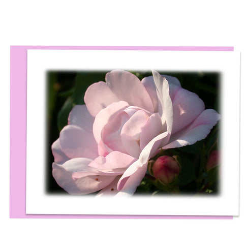 Pink Rose Greeting Card, Stationery Note Card