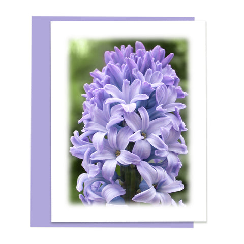 Hyacinth Bloom Greeting Card, Stationery Note Card