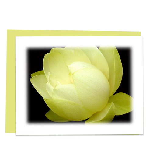 Lotus Bud Greeting Card, Stationery Note Card