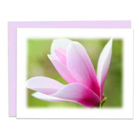 Magnolia Greeting Card, Stationery Note Card