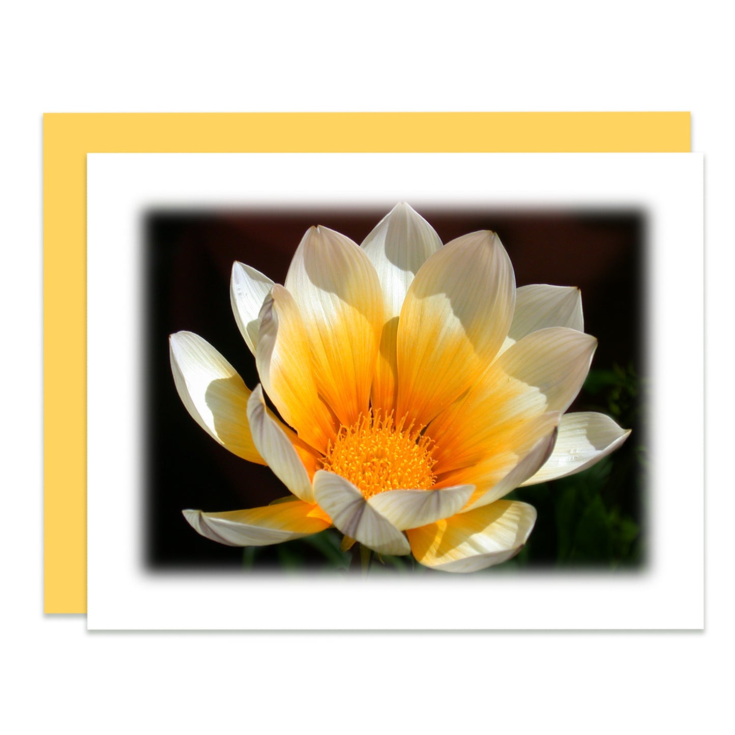 Summers Glow Floral Note Card