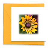 Beautiful Morning Mini Greeting Cards, Mini Cards Bundle