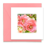 Morning Song Mini Greeting Cards, Mini Greeting Cards Bundle