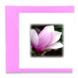 Morning Song Mini Greeting Cards, Mini Greeting Cards Bundle