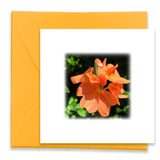 Beautiful Morning Mini Greeting Cards, Mini Cards Bundle