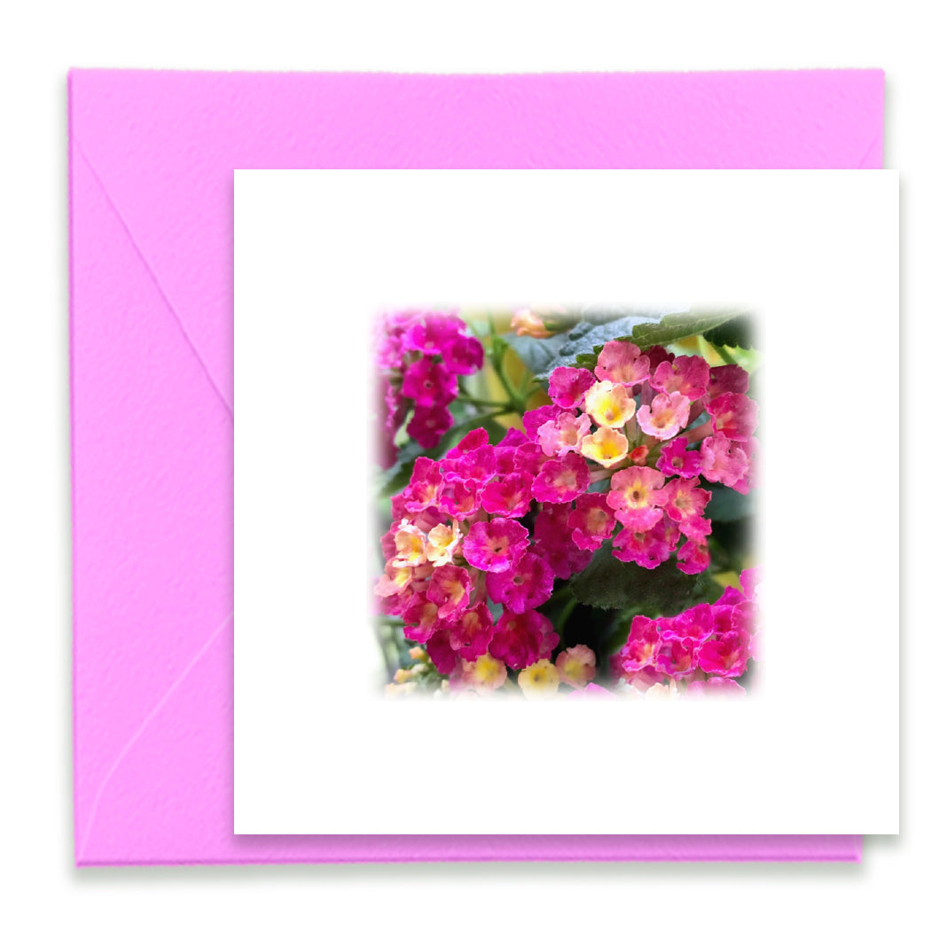Pink Lantana Bloom Mini Greeting Card
