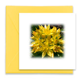 Oh Happy Day Mini Greeting Cards, Mini Cards Bundle