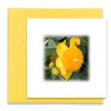 Beautiful Morning Mini Greeting Cards, Mini Cards Bundle