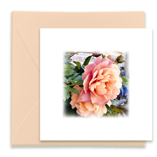 Grandma’s Garden Mini Greeting Cards, Mini Cards Bundle