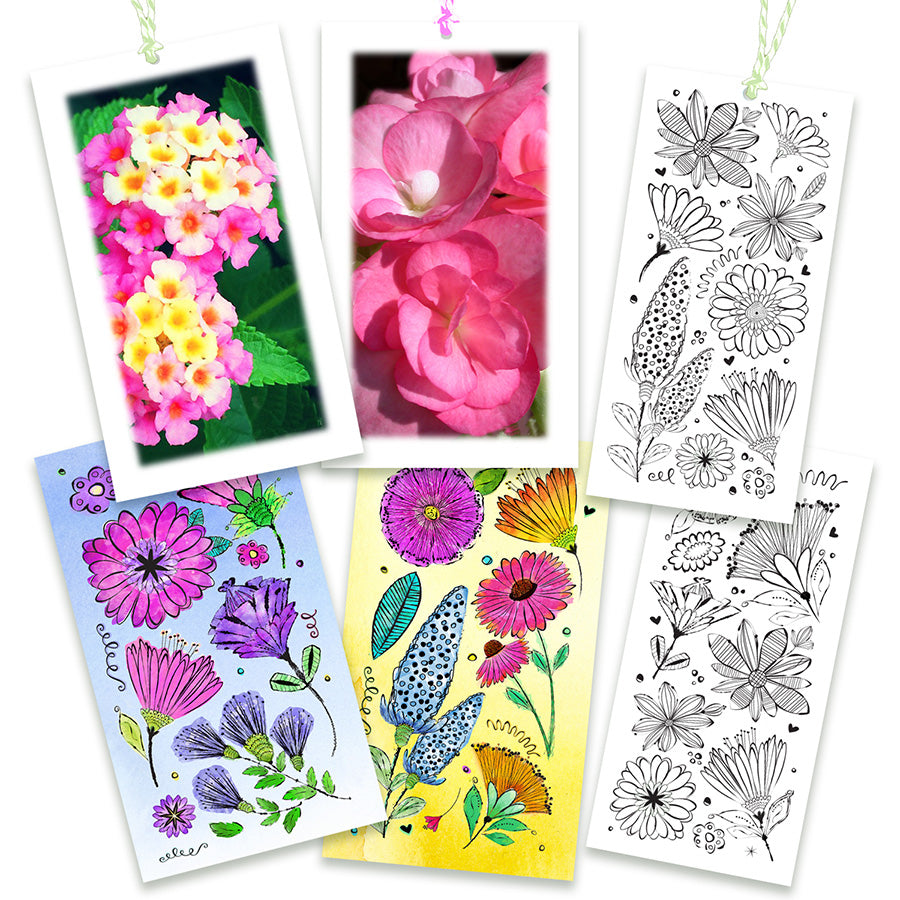 Tissue Paper, Gift Tags, Wildflower Prints