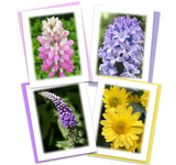 Colorful Garden Assorted Note Card Box Set