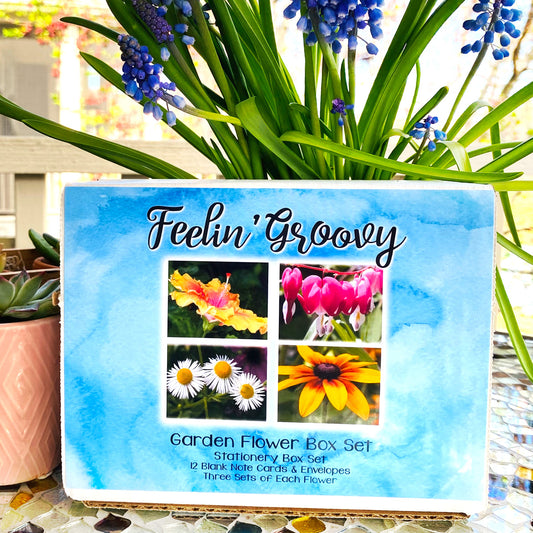 Feeling Groovy Assorted Note Card Box Set