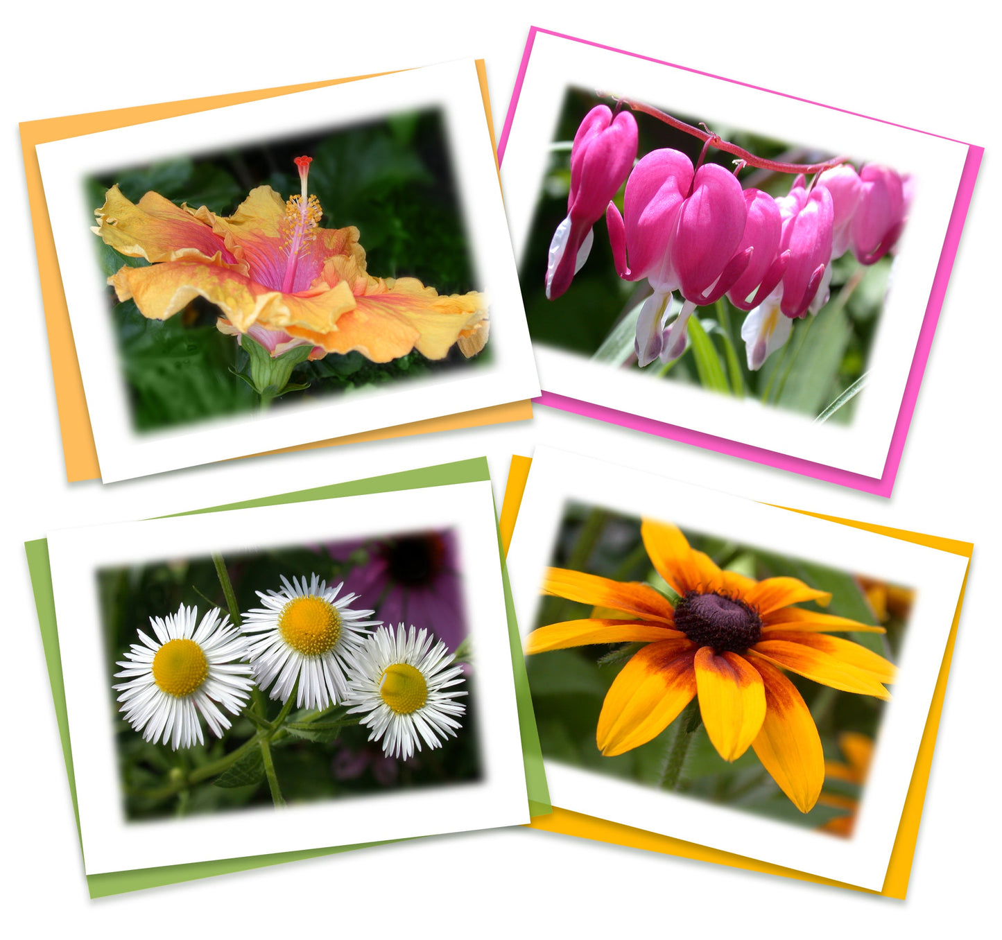 Feeling Groovy Assorted Note Card Box Set