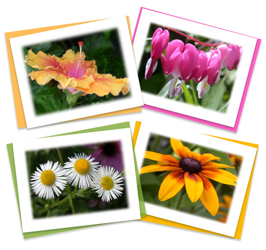 Feeling Groovy Assorted Note Card Box Set