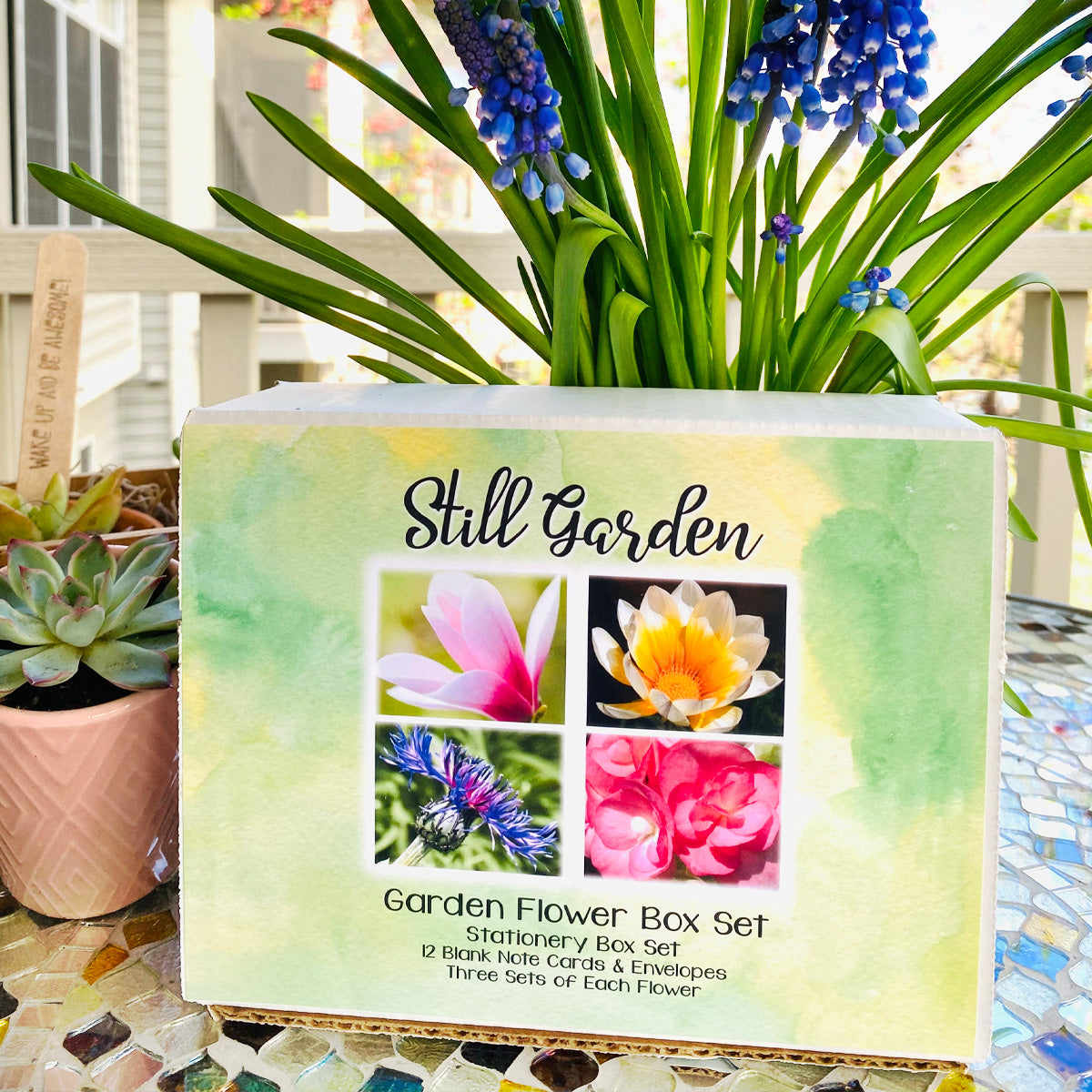 Still Garden Assorted Note Card Box Set