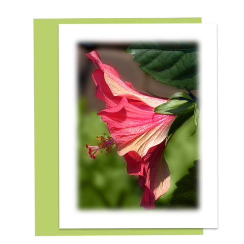 Coral Hibiscus Greeting Card, Stationery Note Card