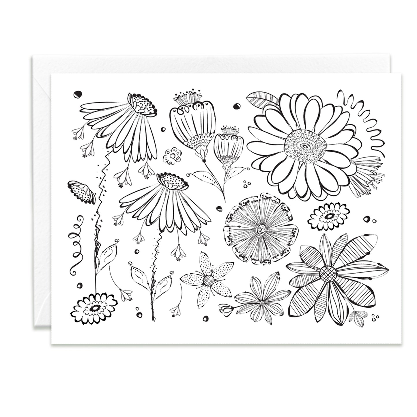 Color Me Beautiful Assorted Note Cards