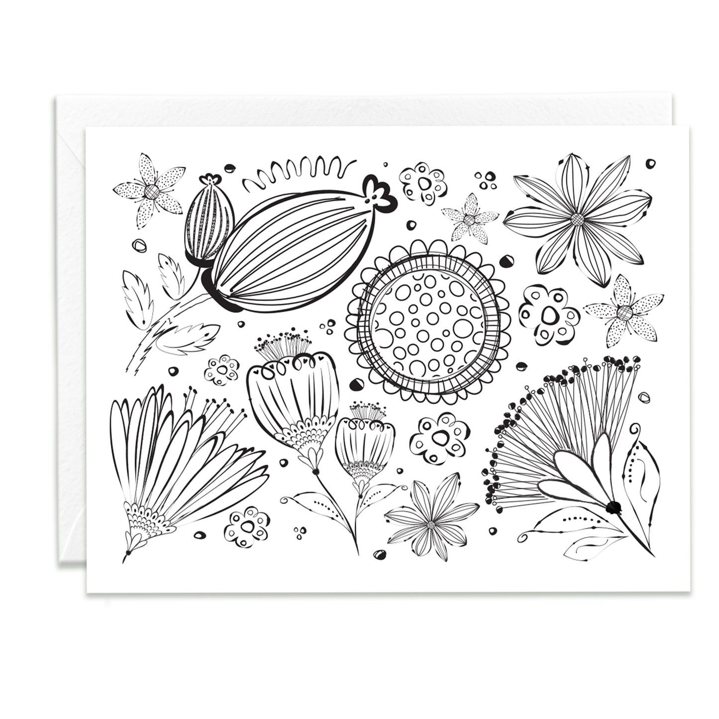 Color Me Beautiful Assorted Note Cards
