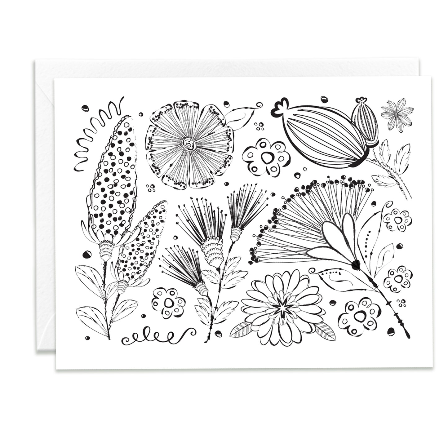 Color Me Beautiful Assorted Note Cards
