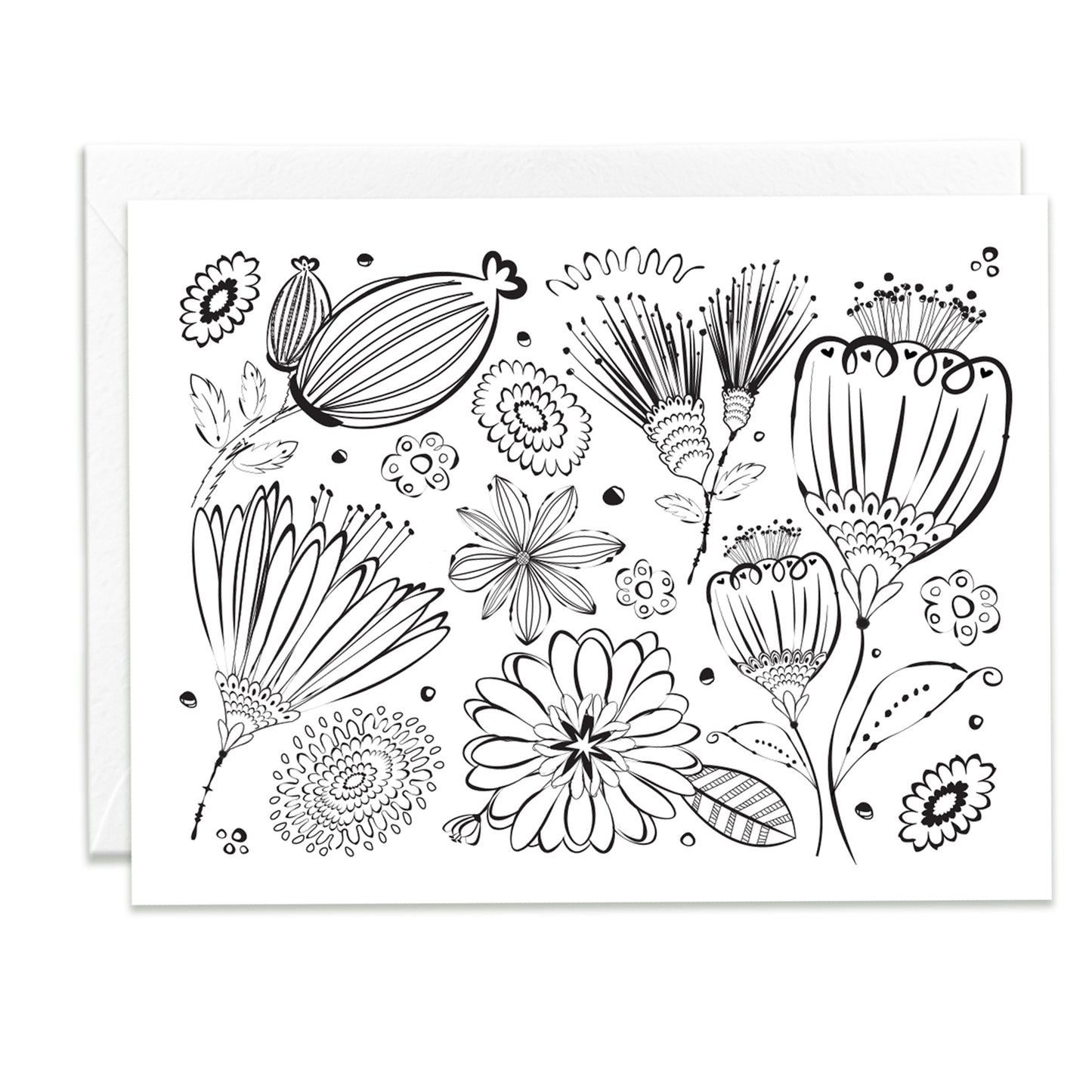 Color Me Beautiful Assorted Note Cards