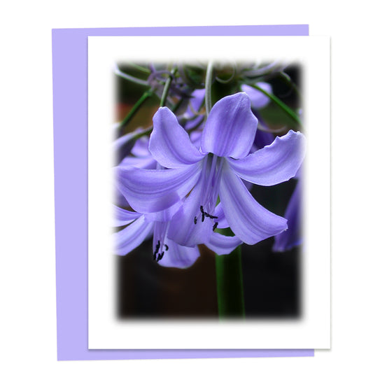 Lily of the Nile Floral Note Card