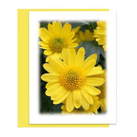 Yellow Mum Blooms Greeting Card, Stationery Note Card