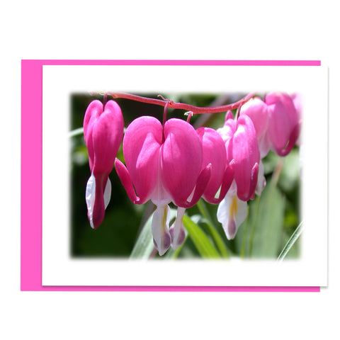 Bleeding Heart Greeting Card, Stationery Note Card