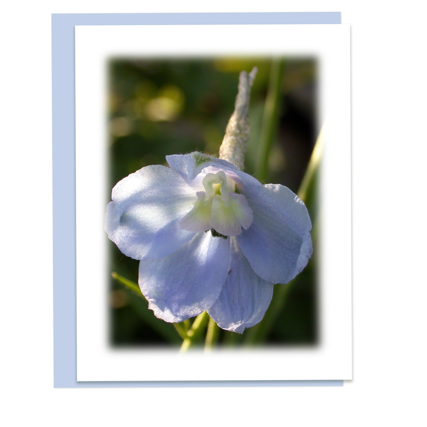 Blue Delphinium Floral Note Card