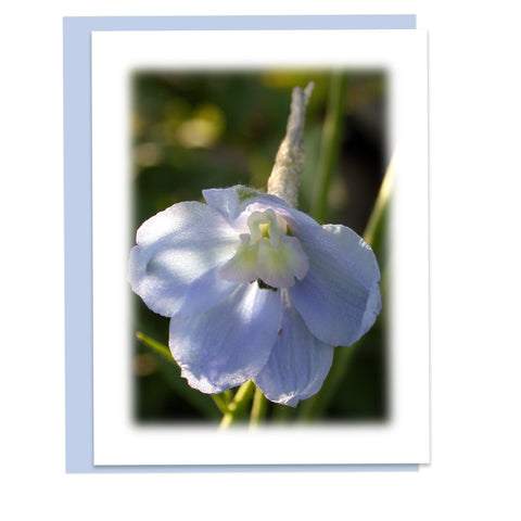 Blue Delphinium Greeting Card, Stationery Note Card