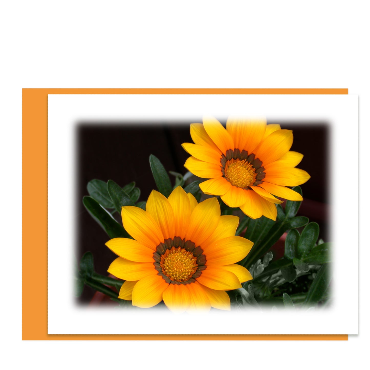 Good Vibrations Assorted Note Cards
