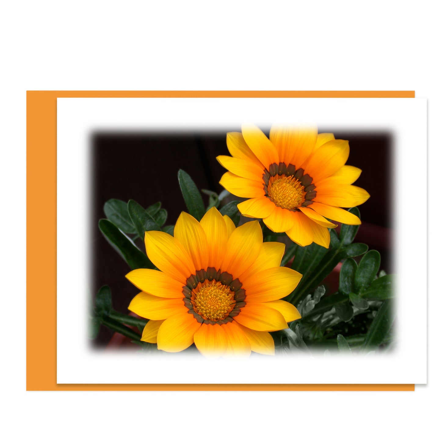 Orange Glow Floral Note Card