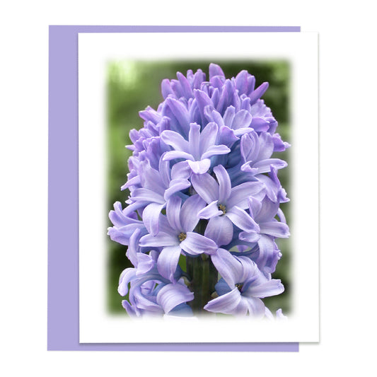 Hyacinth Bloom Floral Note Card