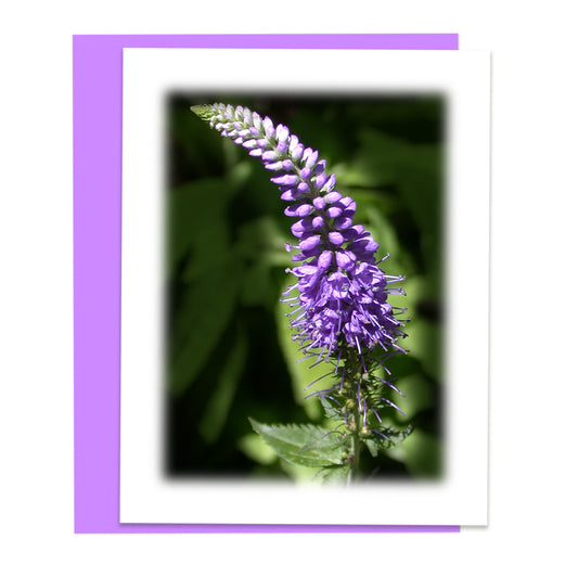 Veronica Blooms Floral Note Card