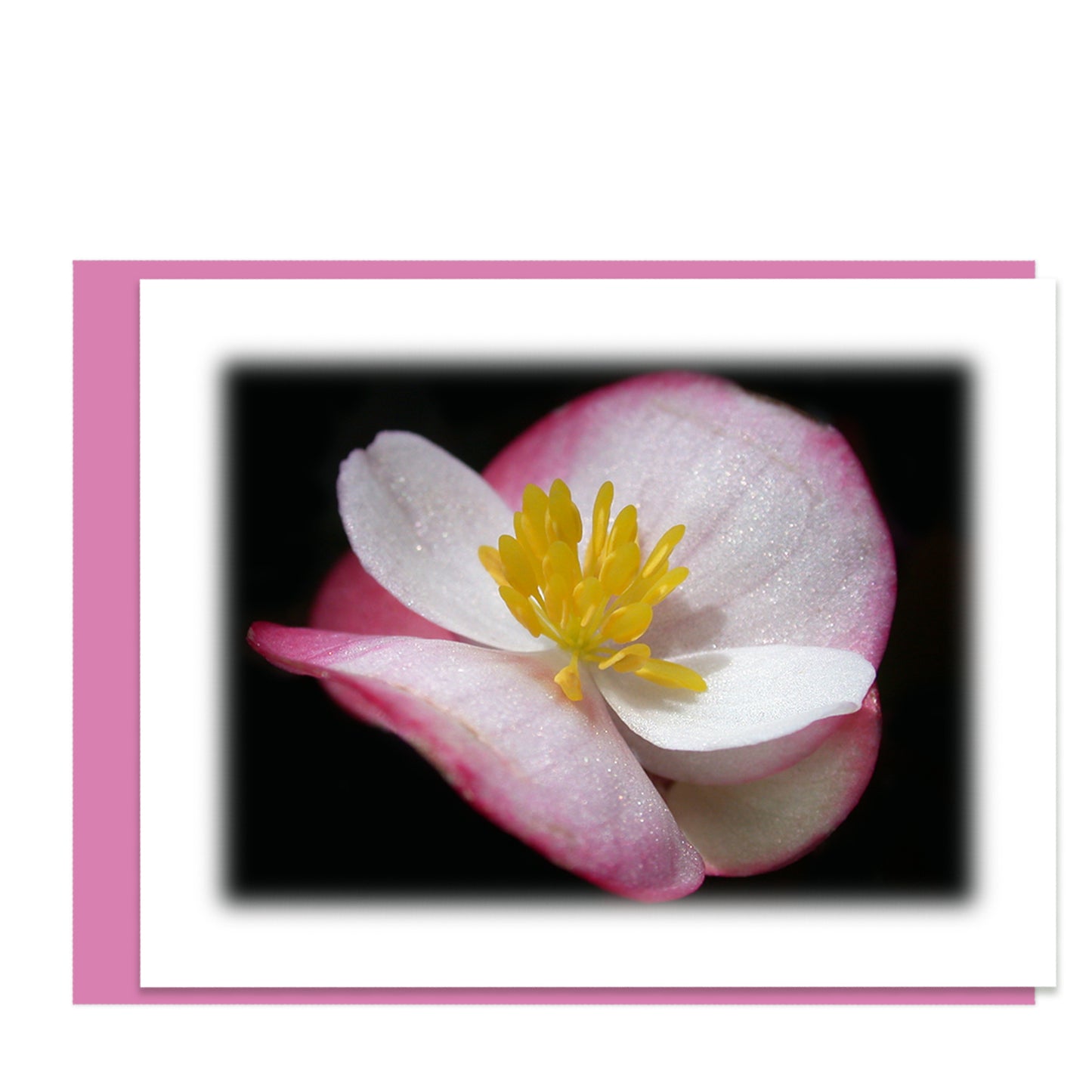 Good Vibrations Assorted Note Cards