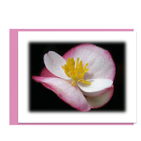 Tiny Begonia Greeting Card, Stationery Note Card