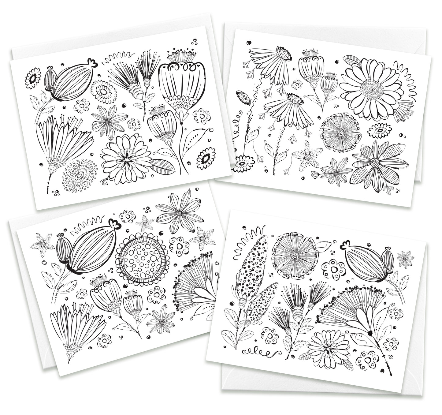 Color Me Beautiful Assorted Note Cards
