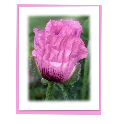 Poppy Bloom Greeting Card, Stationery Note Card