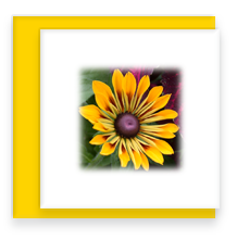 Brown Eyed Susan Mini Greeting Card with Envelope, Mini Note Card