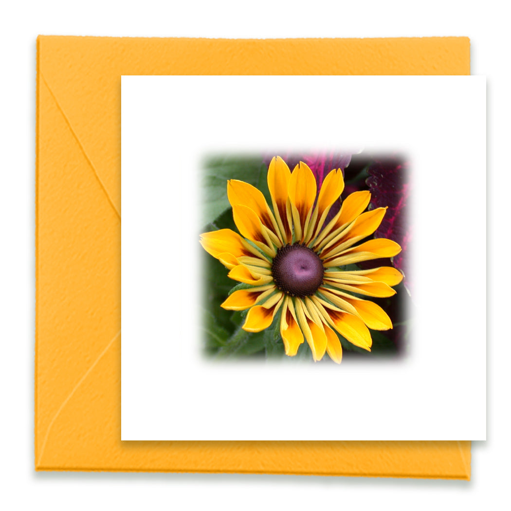 Beautiful Morning Mini Greeting Cards, Mini Cards Bundle