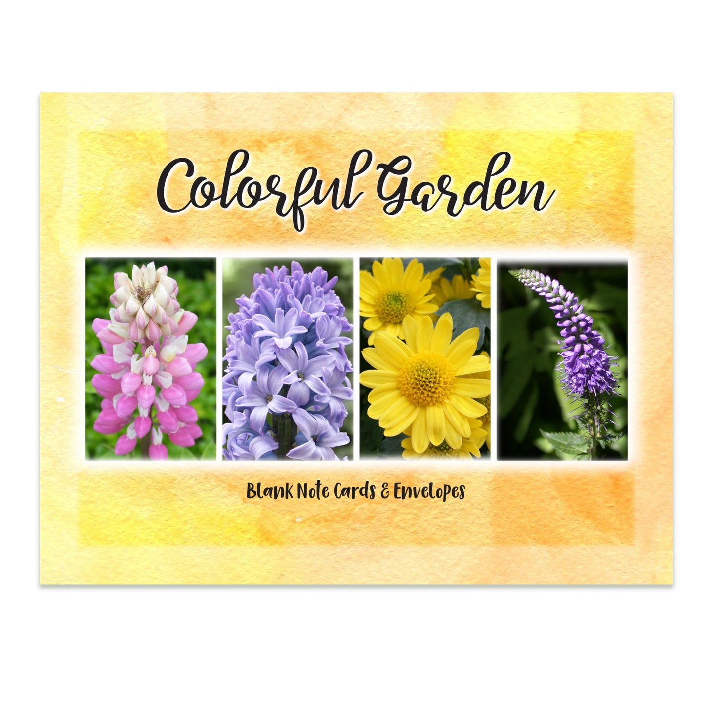 Colorful Garden Assorted Noted Cards
