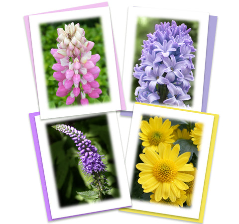 Colorful Garden Greeting Card Bundle, Stationery Note Cards