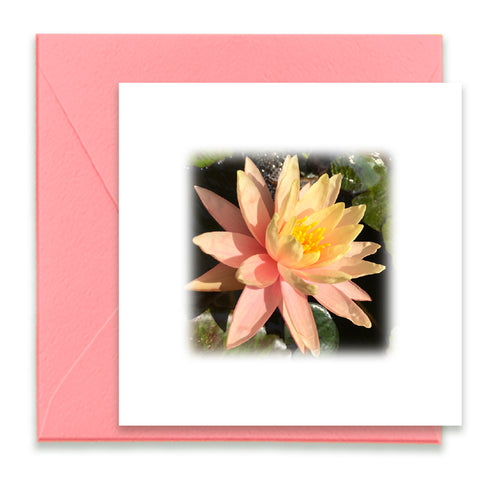 Coral Waterlily Blooms Mini Greeting Card, Enclosure Card