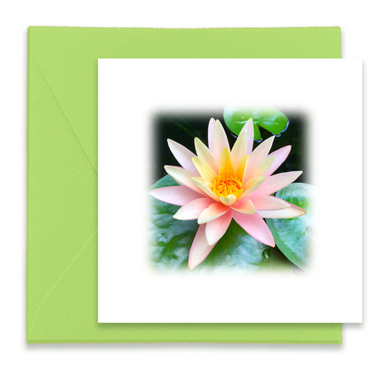 Coral Waterlily Mini Greeting Card
