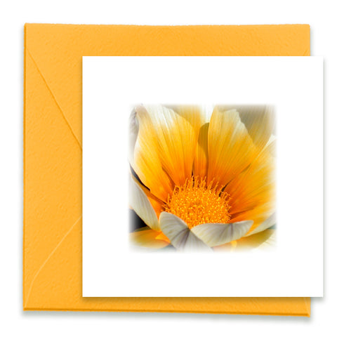 Orange Daisy Mini Greeting Card