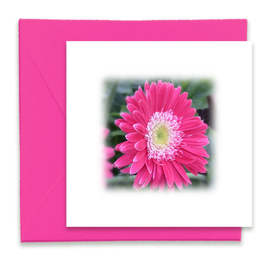 Pink Daisy Mini Greeting Card